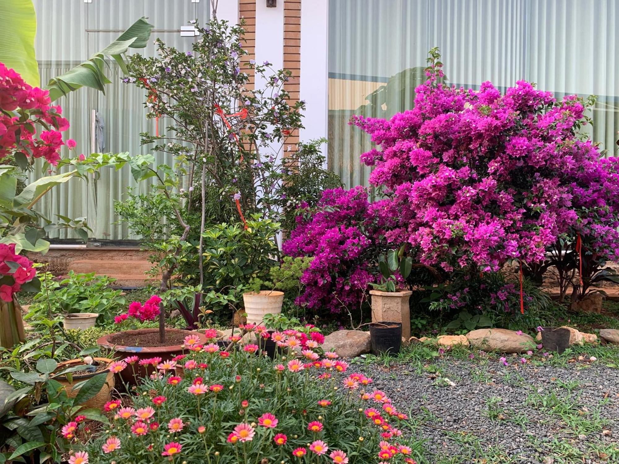Berry 1 Country house Buon Ma Thuot