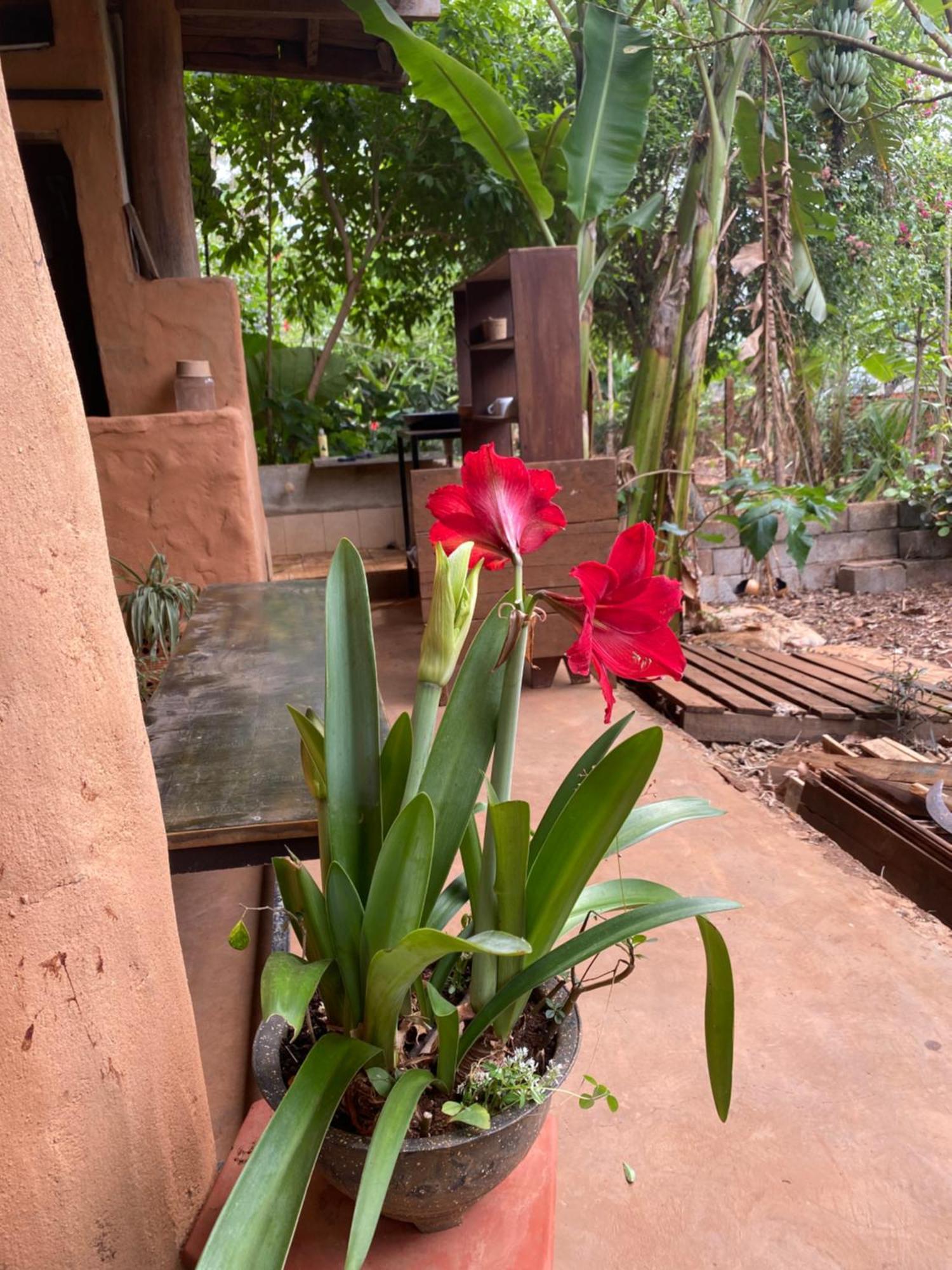 Berry 1 Country house Buon Ma Thuot
